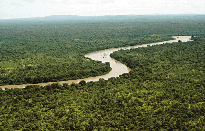 Fluviul Gambia