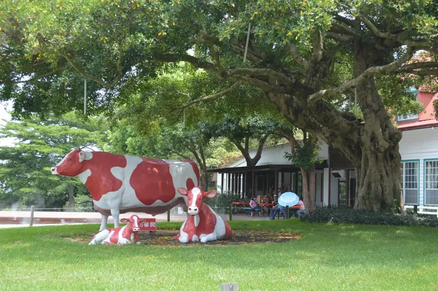 Flying-Cow-Ranch — Hsinchu (Taiwan)