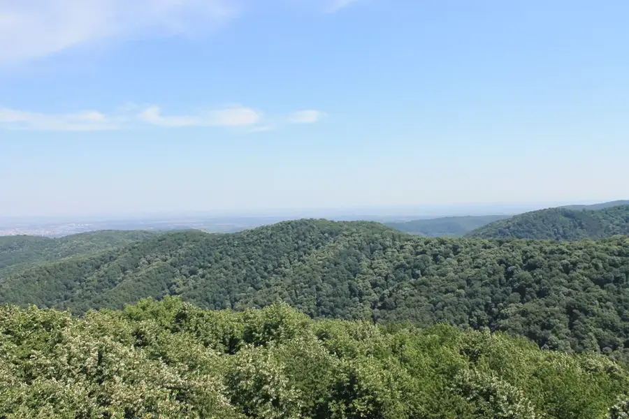 Frankenwald – Wald