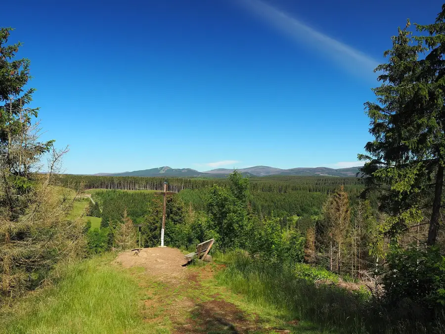 Nationalpark Harz (Sachsen-Anhalt) – Wald