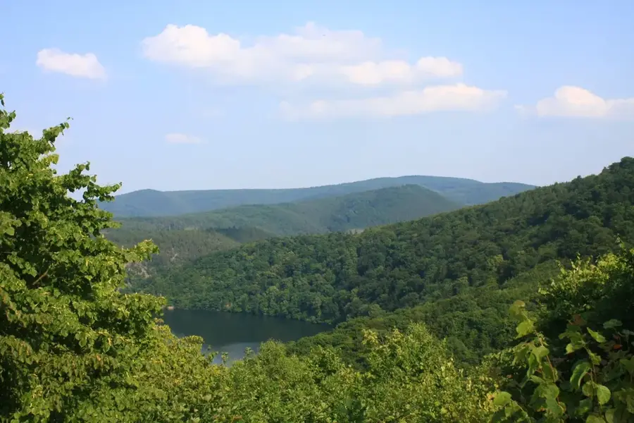 Kellerwald-Edersee – Wald
