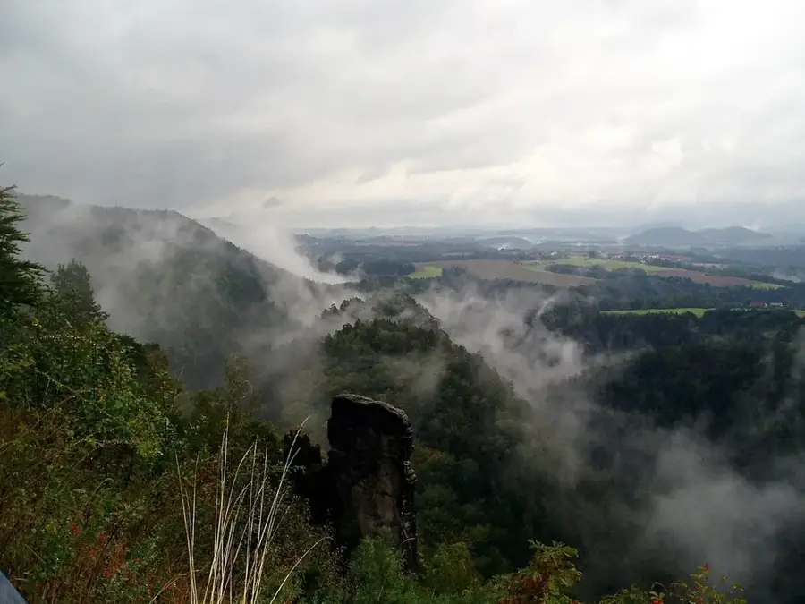 Nationalpark Sächsische Schweiz – Wald