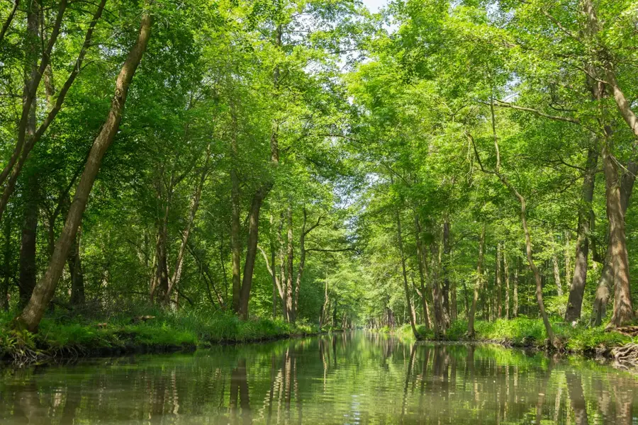 Spreewald
