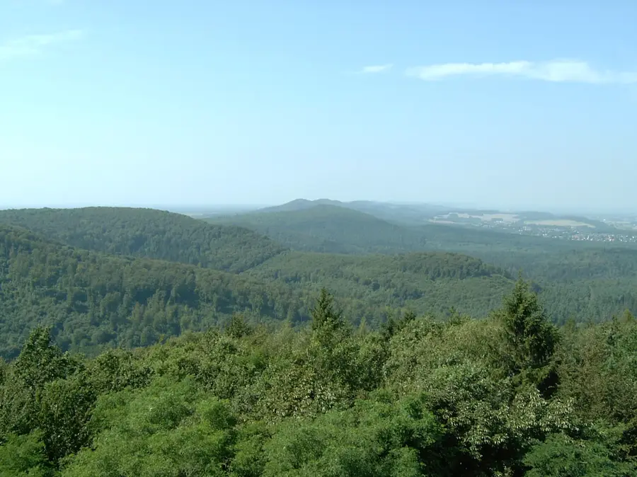 Teutoburger Wald – Wald