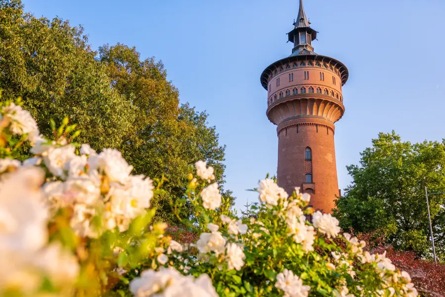 Forst (Lausitz) – Stadt