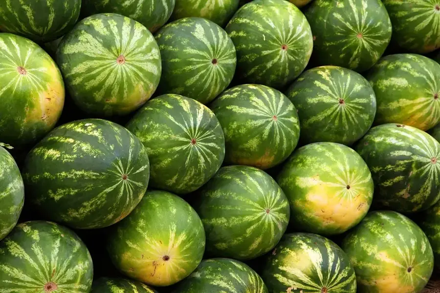 Piața de legume Foumbot — Bangangté (Camerun)