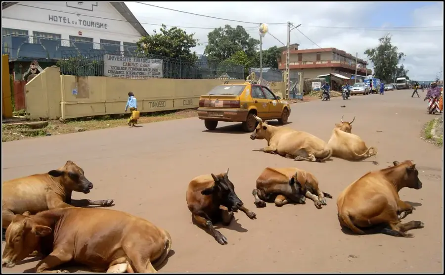 Fouta-Djallon-Archiv — Gambia-Quelle (Guinea)
