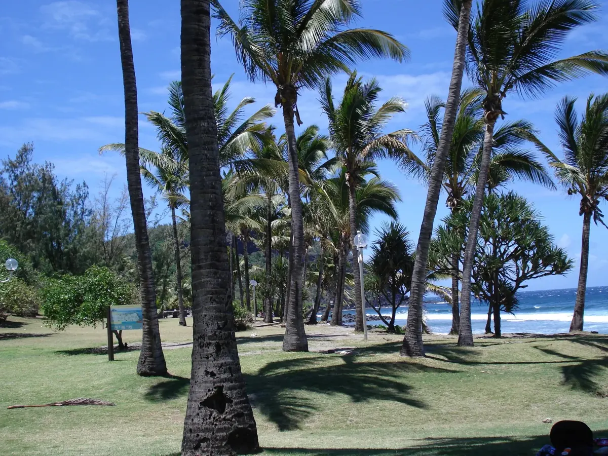 Grande Anse, Réunion