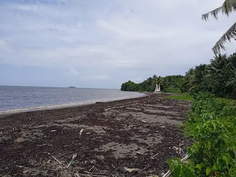 Plage de Viard