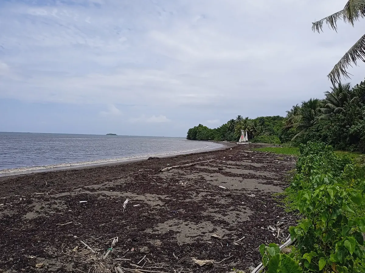 Plage de Viard