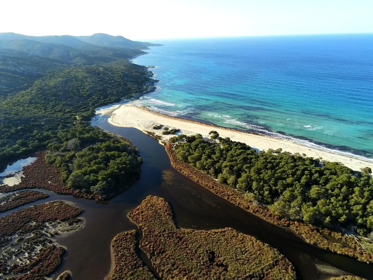 Saleccia beach