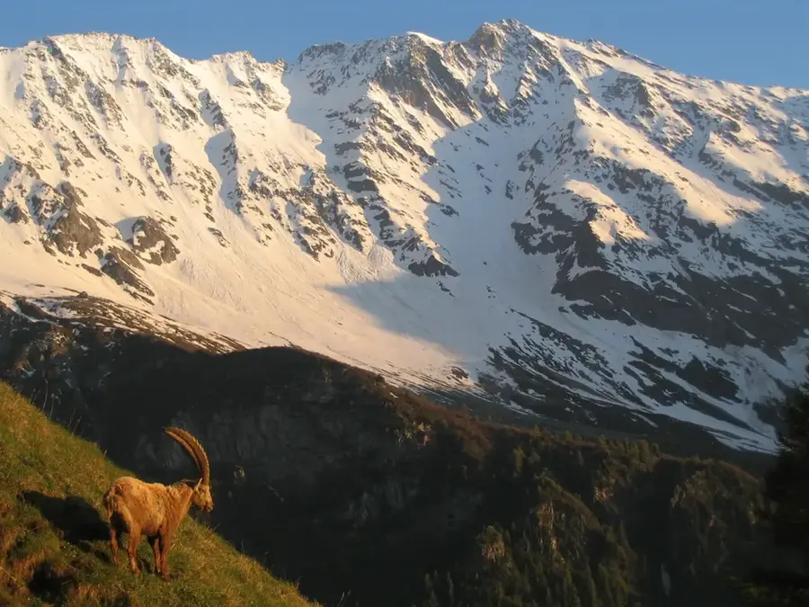 Vanoise Nationalpark — Nationalpark Gran Paradiso (Italien)