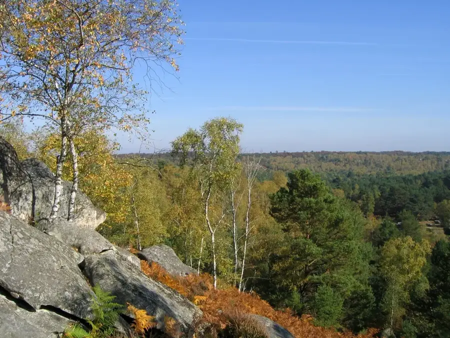 Forest of Fontainebleau – forest