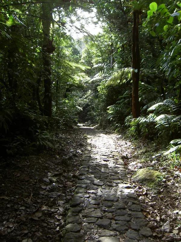 Guadeloupe National Park