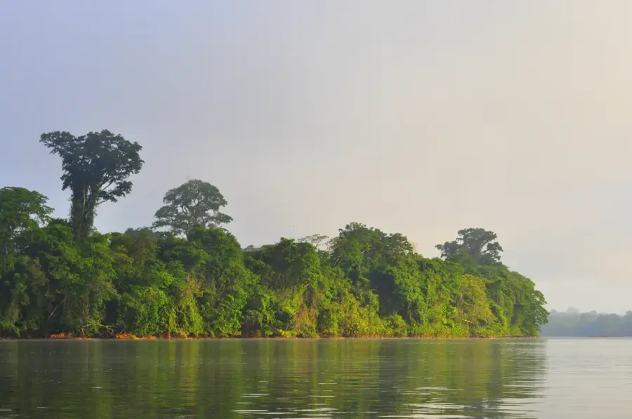 Nationalpark Guyana-Amazonien