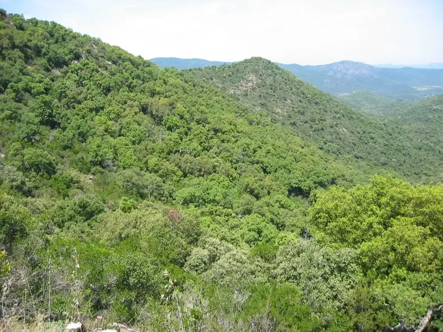 Massif des Maures – mountain
