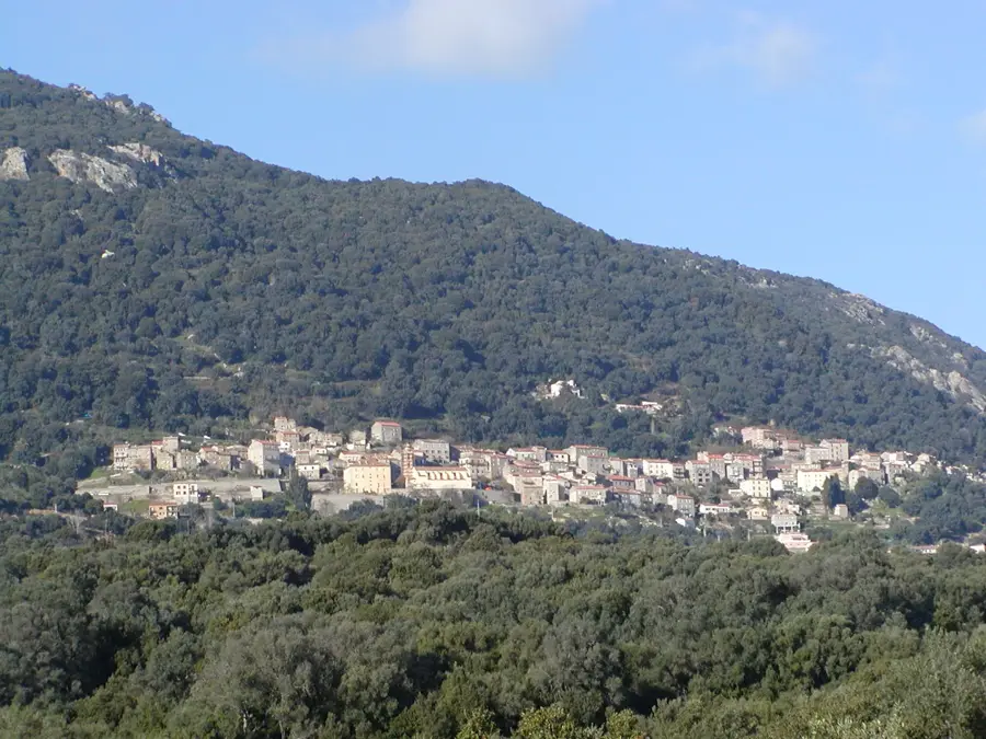 Olmeto – city