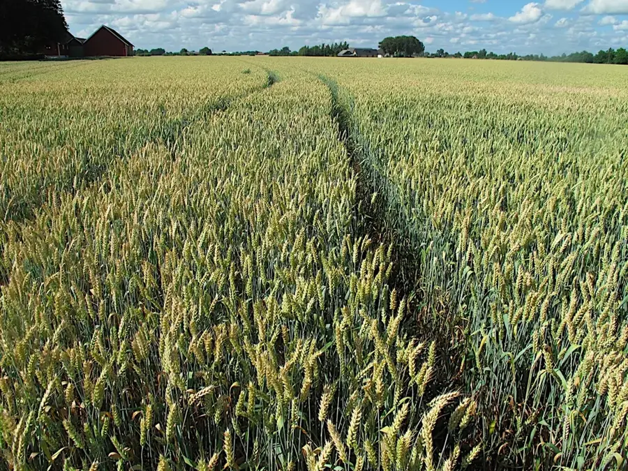 Fraser Valley Agriculture Logistics