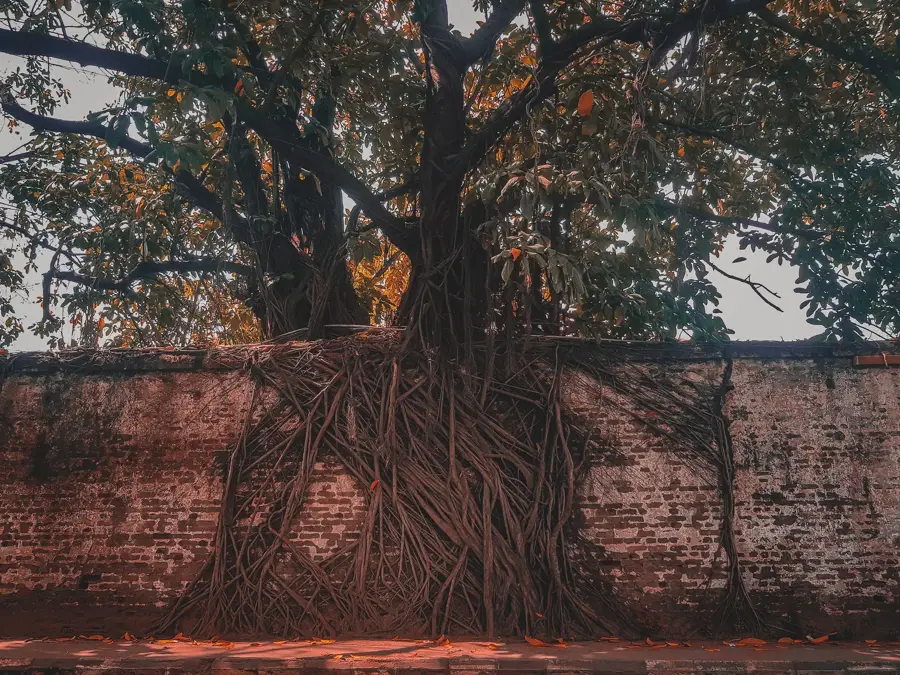 Parcul Libertății Lagos — Lagos (Nigeria)