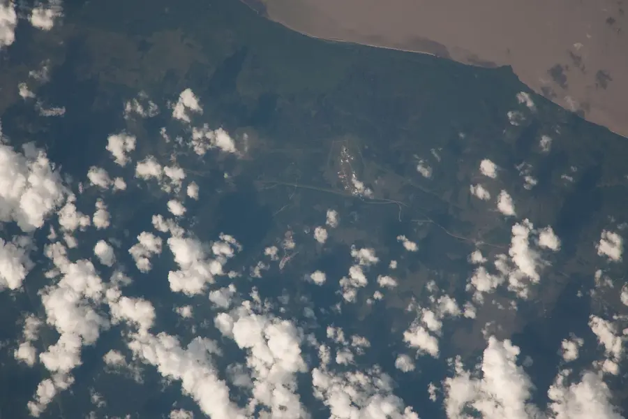 Kaw Marshes — Îlet la Mère Monkey Island (French Guiana)