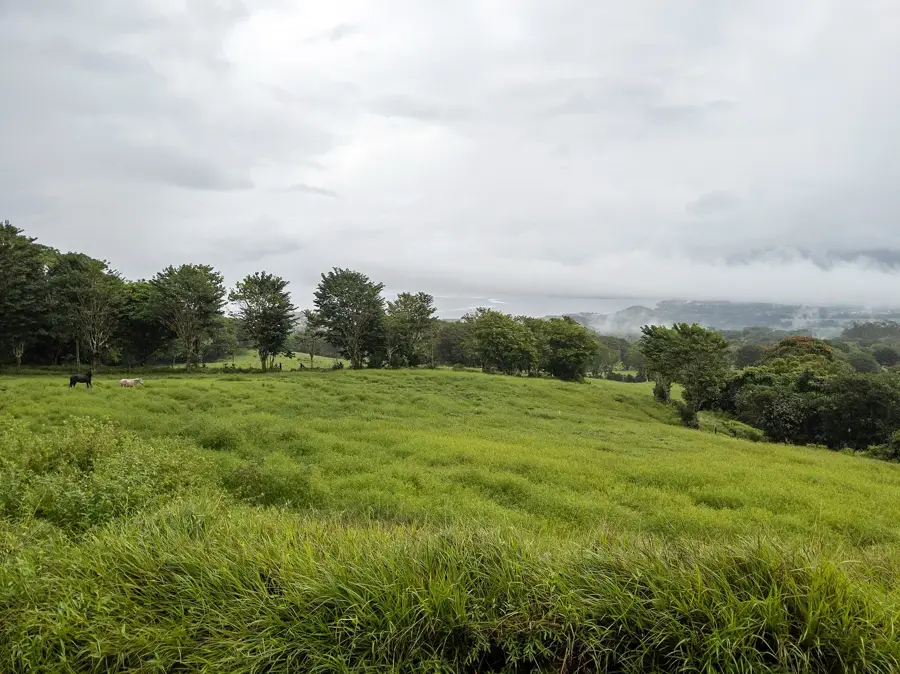 Tahiti Iti kávéültetvények — Mataura (Francia Polinézia)