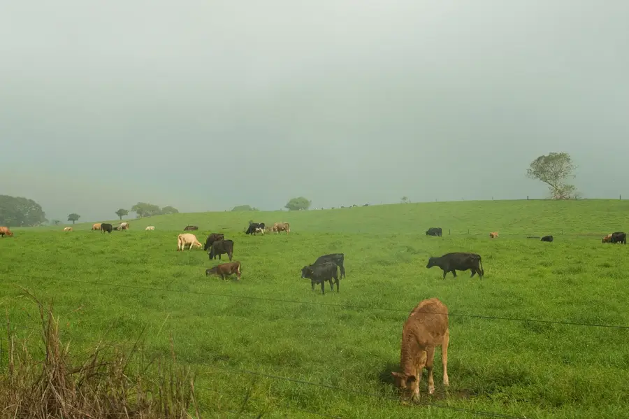 Taravao Plateau