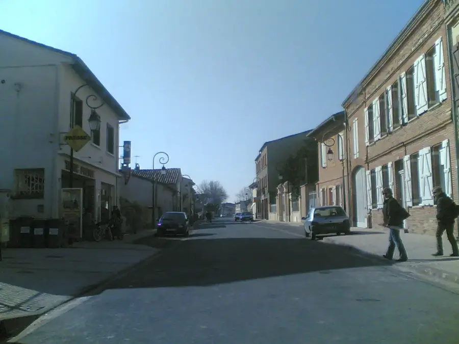 Frouzins – city