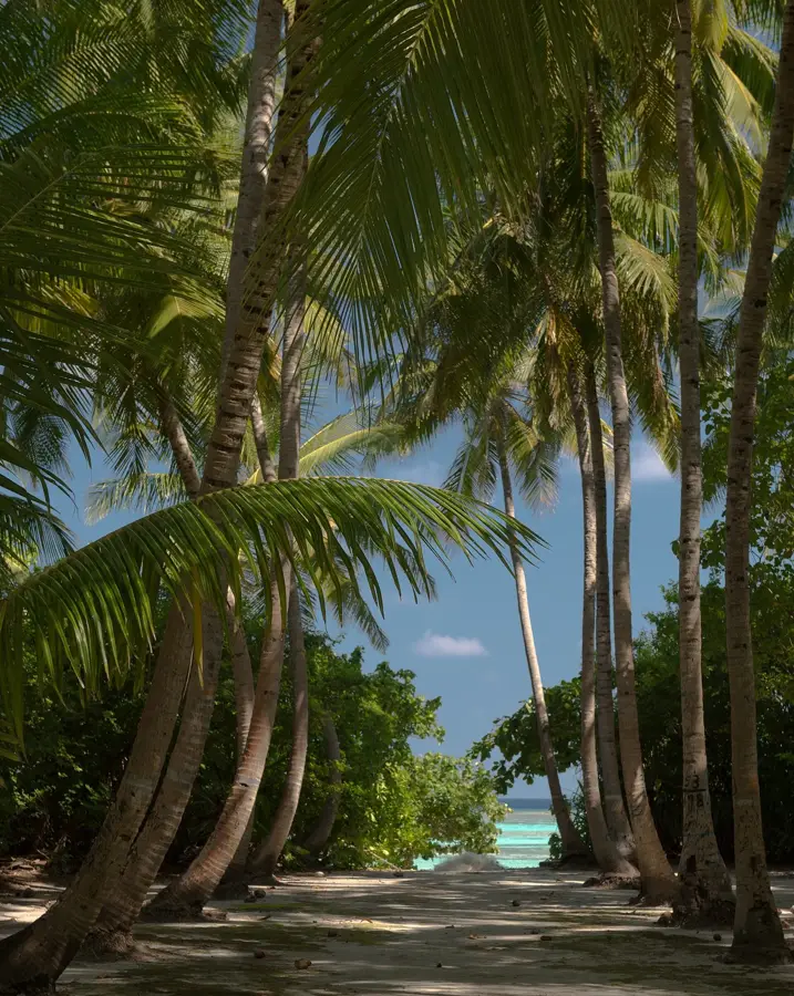Fulhadhoo Strand — Thoddoo Strand (Malediven)