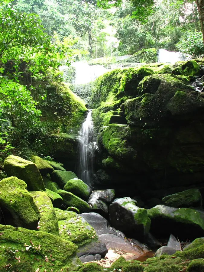 Parcul Național Ivindo — Mekambo (Gabon)