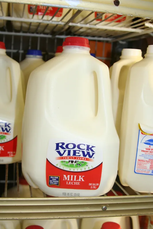 Gallon Jug Hills