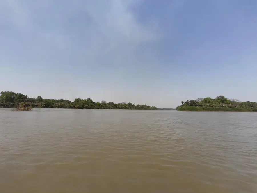 Gambia Folyó Nemzeti Park (Pávián-szigetek)