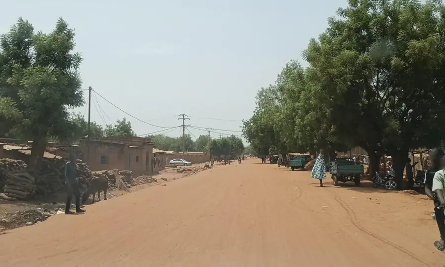 Gaya Zuckerrohr-Plantage — Dosso Kindermuseum (Niger)