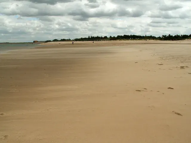 Holkham Beach