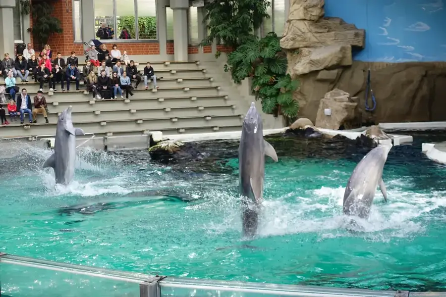 Delfinarium Batumi — Kobuleti (Georgien)