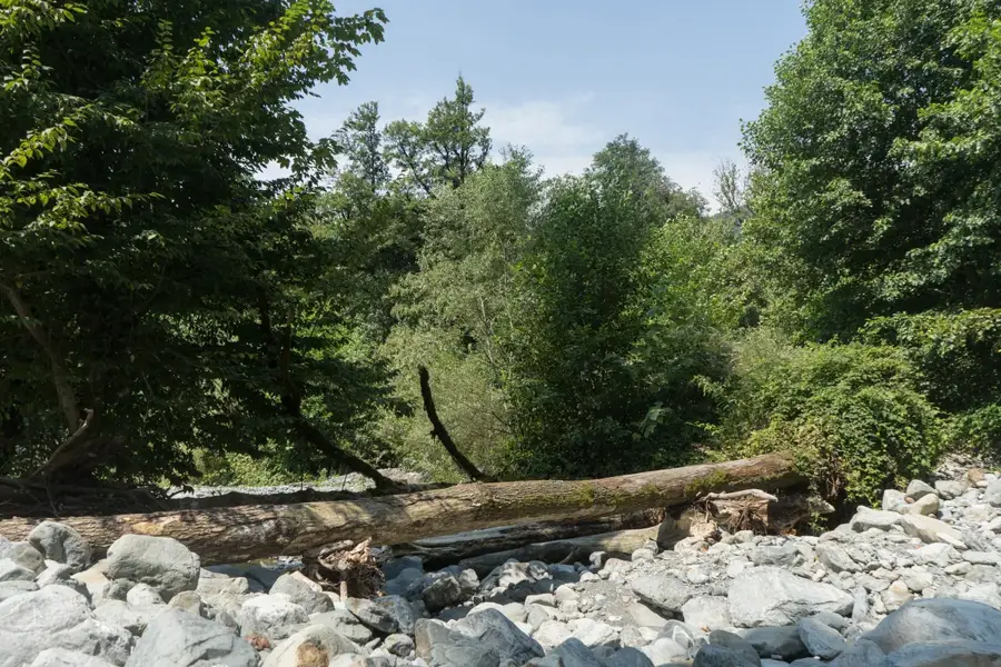 Aria Protejată Lagodehi — Zagatala (Azerbaidjan)