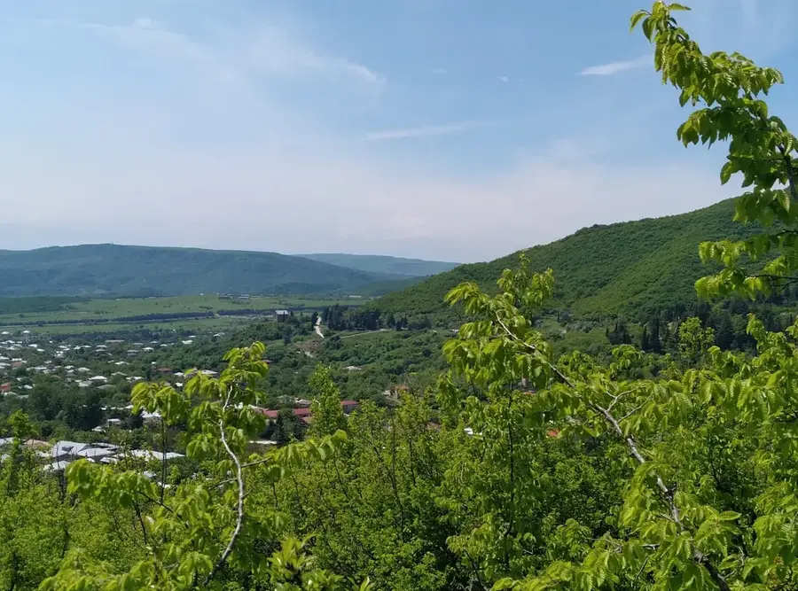 Szágaredzso