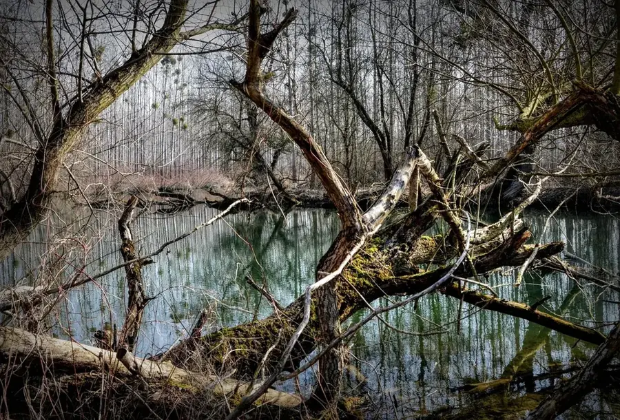 Gemenc ártér — Bonyhád (Magyarország)