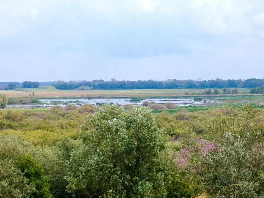 Kiskunsági Nemzeti Park — Bugac (Magyarország)