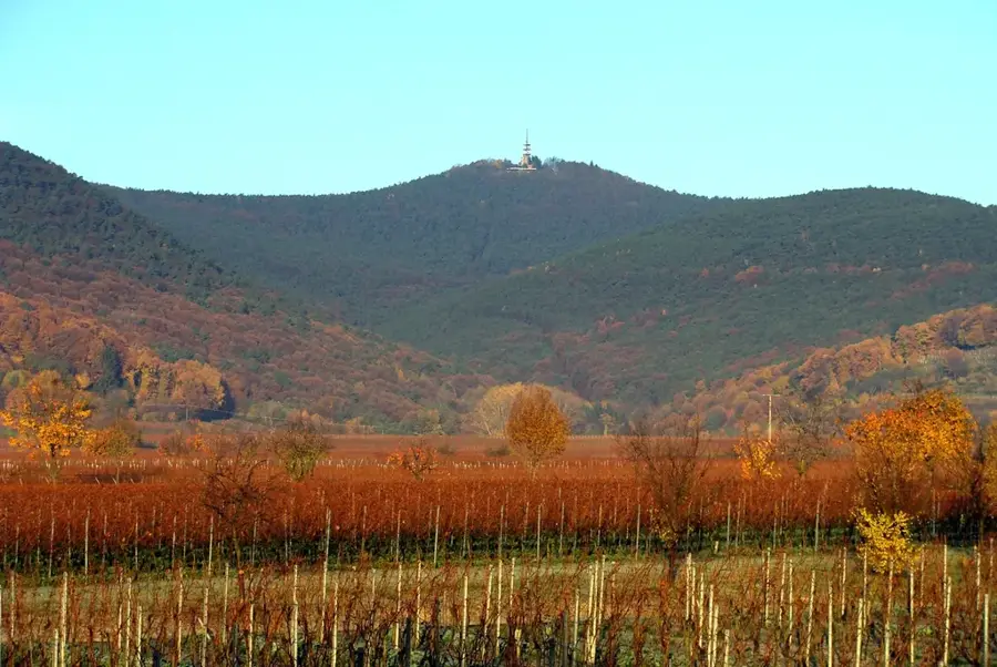 Haardt – Berg