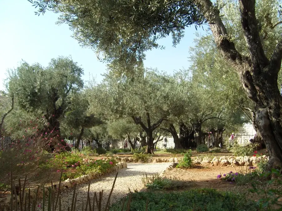 Gethsemani — Felsendom (Israel)