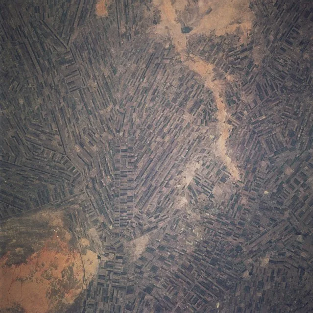 Gezira-Bewässerungsprojekt — Rufaa (Sudan)