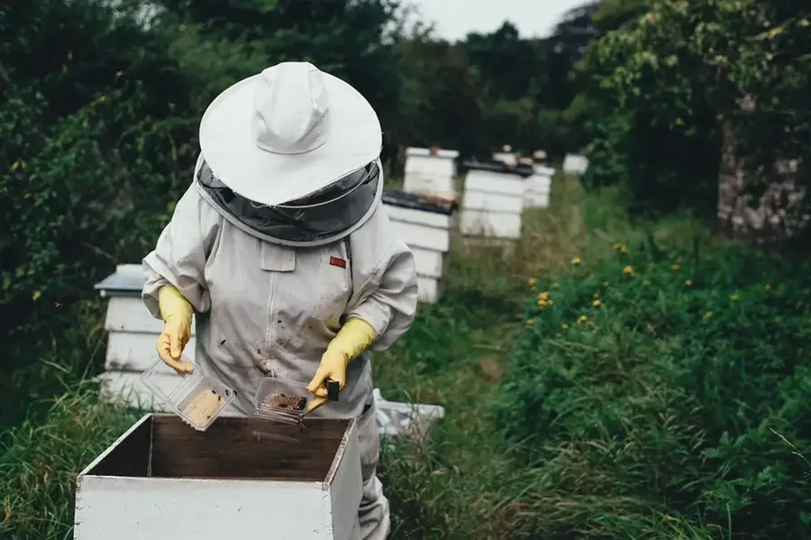 Macouria Bee Farm