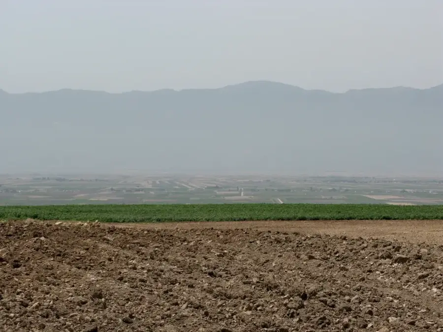 Ghab-Ebene — Orontes (Syrien)