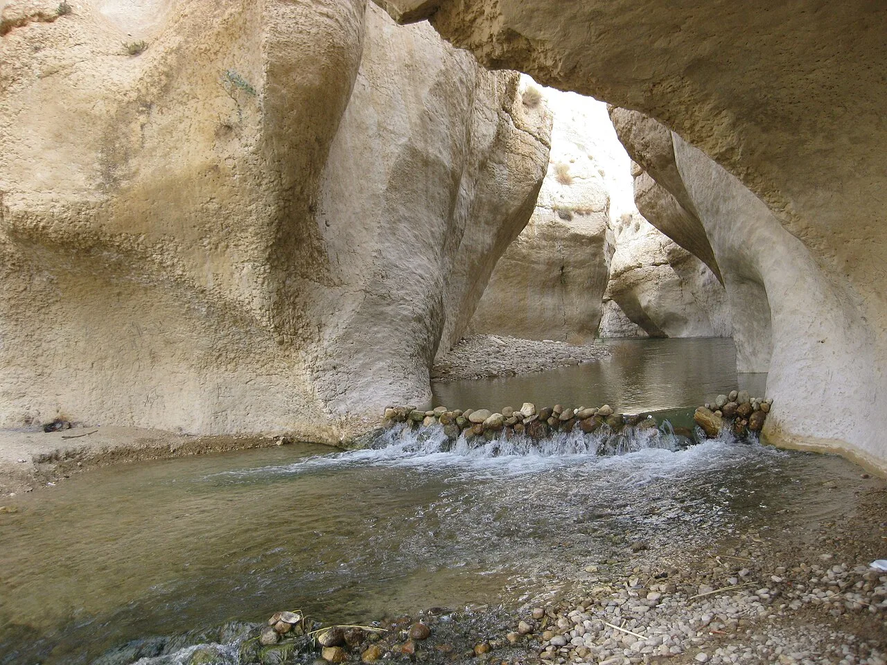 Ghor Al-Safi Tomato Farms — Karak (Jordan)