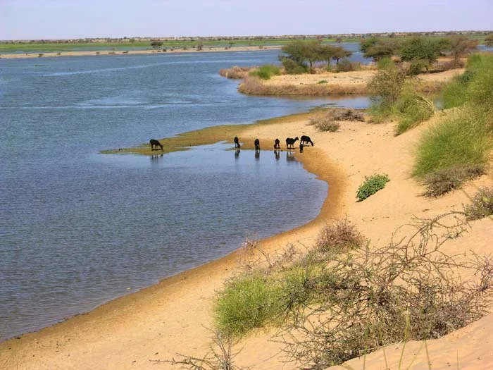 Gourma (Niger)