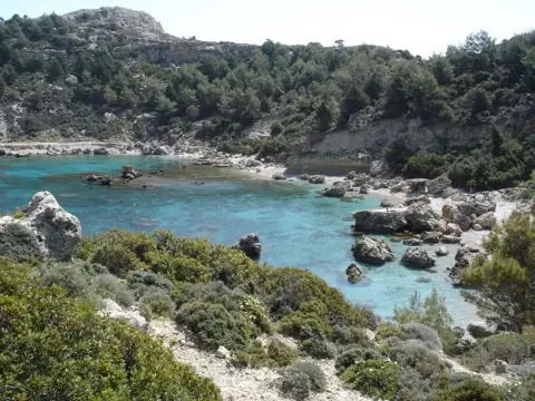 Anthony Quinn Bay