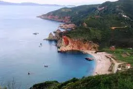 Paltsi