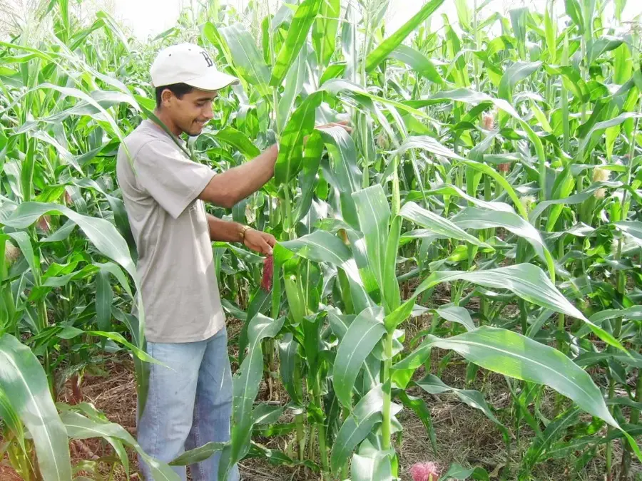 Panama Educational Farm — Chilibre (Panama)