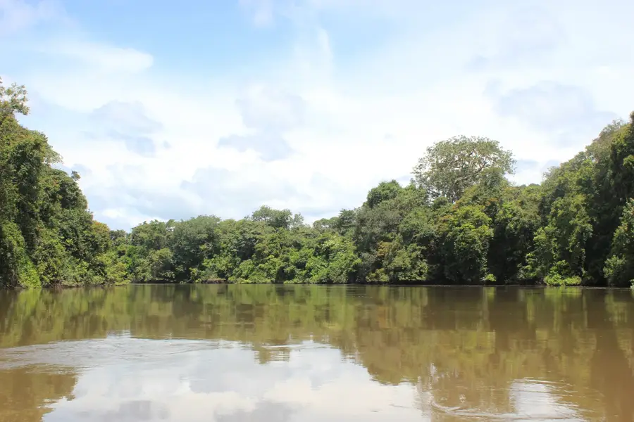 Great Scarcies River