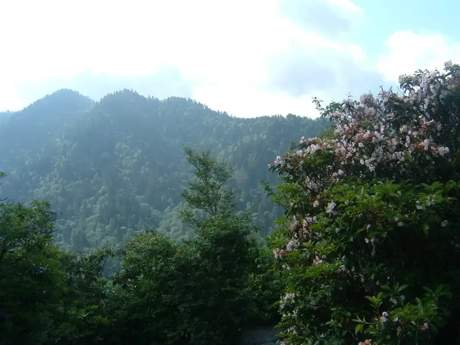 Great Smoky Mountains National Park